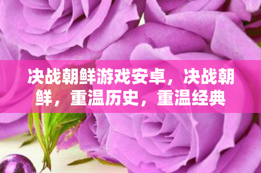 决战朝鲜游戏安卓，决战朝鲜，重温历史，重温经典