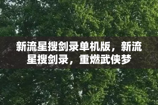新流星搜剑录单机版，新流星搜剑录，重燃武侠梦