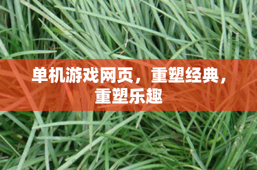 单机游戏网页，重塑经典，重塑乐趣