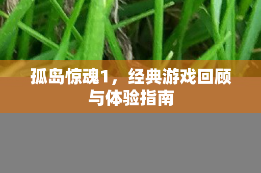 孤岛惊魂1，经典游戏回顾与体验指南