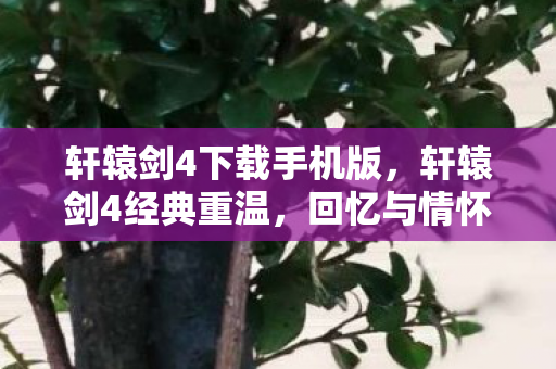 轩辕剑4下载手机版,轩辕剑4经典重温,回忆与情怀的交织 轩辕剑4下载手机版,轩辕剑4经典重温,回忆与情怀的交织