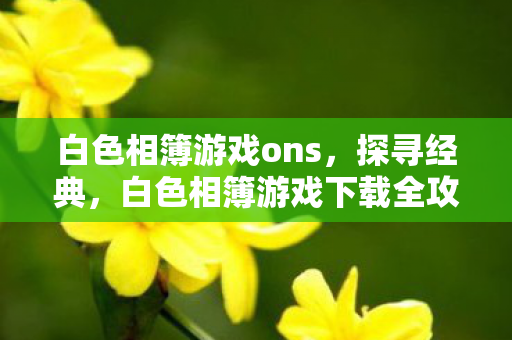 白色相簿游戏ons，探寻经典，白色相簿游戏下载全攻略