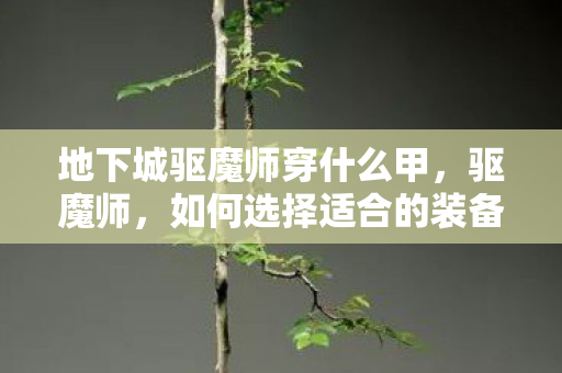 地下城驱魔师穿什么甲图片