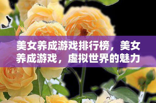 美女养成游戏排行榜，美女养成游戏，虚拟世界的魅力与挑战