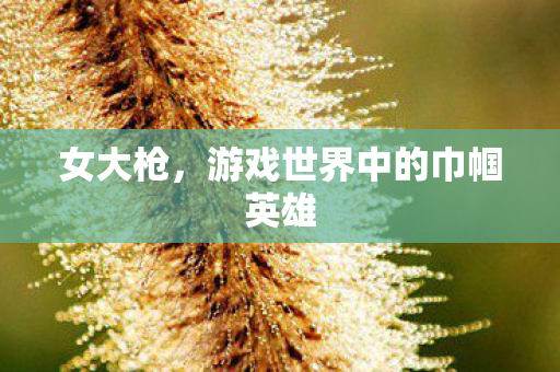 女大枪，游戏世界中的巾帼英雄