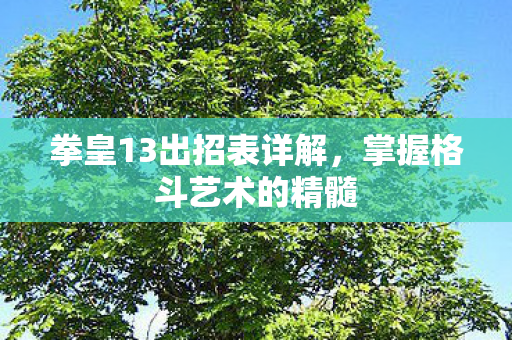 拳皇13出招表详解，掌握格斗艺术的精髓