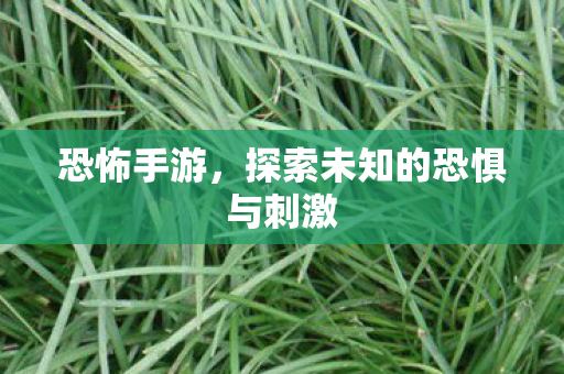 恐怖手游，探索未知的恐惧与刺激