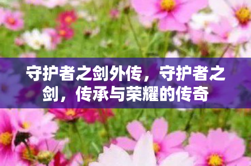 守护者之剑外传，守护者之剑，传承与荣耀的传奇