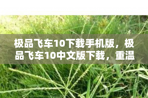 极品飞车10下载手机版，极品飞车10中文版下载，重温经典，极速狂飙