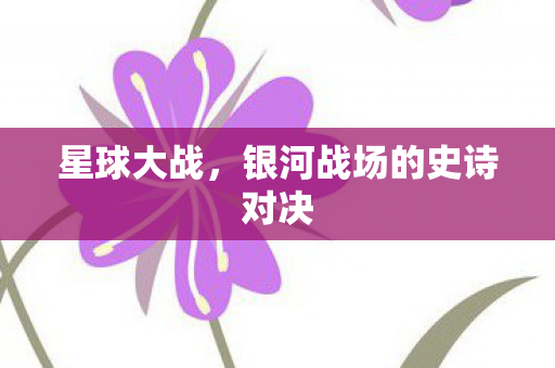 星球大战,银河战场的史诗对决 星球大战,银河战场的史诗对决