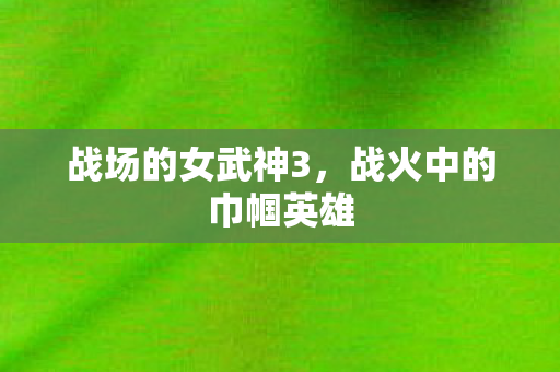 战场的女武神3，战火中的巾帼英雄