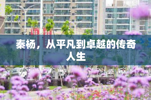 秦杨，从平凡到卓越的传奇人生