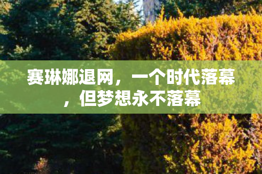 赛琳娜退网，一个时代落幕，但梦想永不落幕