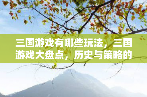三国游戏有哪些玩法，三国游戏大盘点，历史与策略的完美融合
