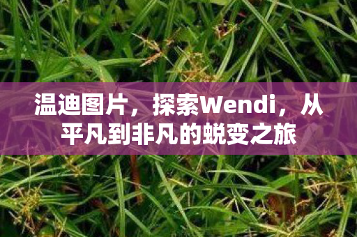 温迪图片，探索Wendi，从平凡到非凡的蜕变之旅