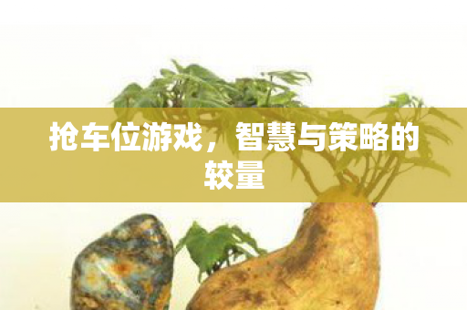 抢车位游戏，智慧与策略的较量