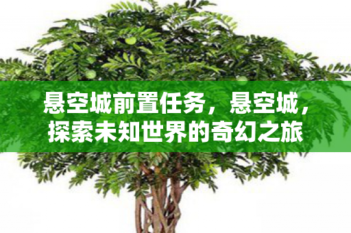 悬空城前置任务，悬空城，探索未知世界的奇幻之旅