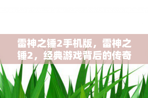 雷神之锤2手机版，雷神之锤2，经典游戏背后的传奇故事