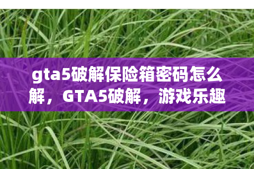 gta5破解保险箱密码怎么解，GTA5破解，游戏乐趣与道德边界的探讨