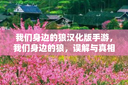 我们身边的狼汉化版手游，我们身边的狼，误解与真相