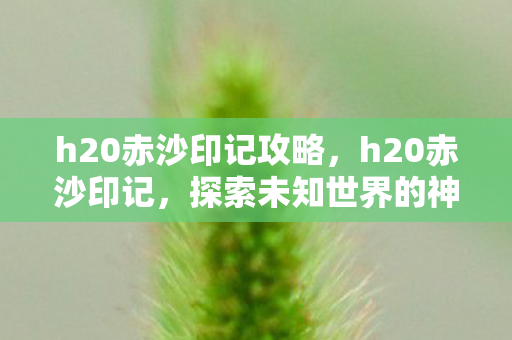 探索未知世界的神秘之旅图片