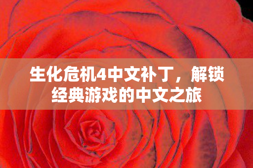 生化危机4中文补丁，解锁经典游戏的中文之旅