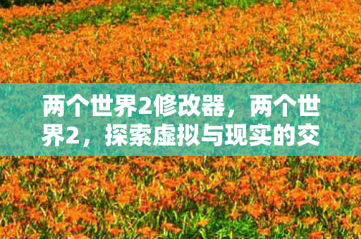 两个世界2修改器，两个世界2，探索虚拟与现实的交汇点