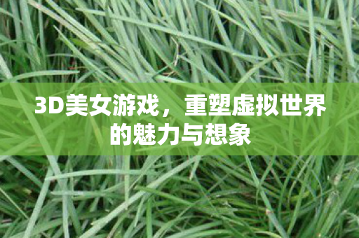 3D美女游戏，重塑虚拟世界的魅力与想象