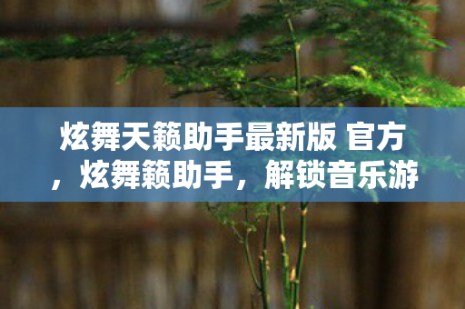 炫舞天籁助手最新版 官方图片