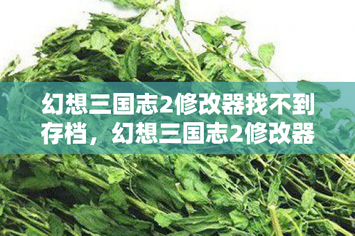 幻想三国志2修改器找不到存档，幻想三国志2修改器，重温经典，无限可能