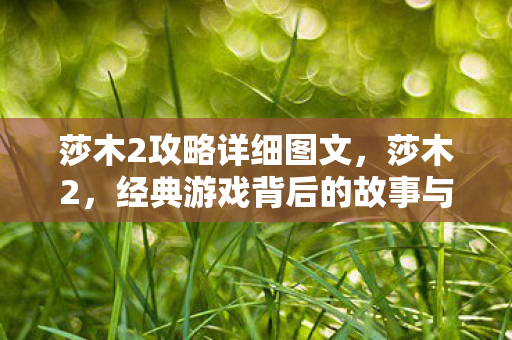 莎木2攻略详细图文，莎木2，经典游戏背后的故事与影响