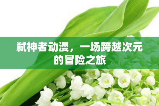 弑神者动漫，一场跨越次元的冒险之旅