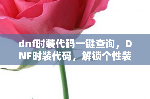dnf时装代码一键查询图片