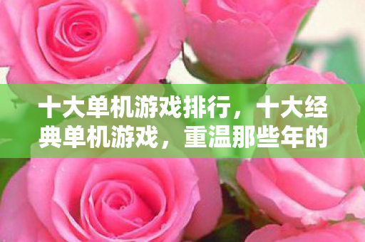十大单机游戏排行，十大经典单机游戏，重温那些年的回忆