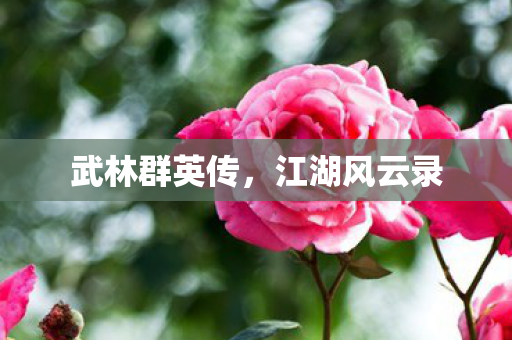 武林群英传，江湖风云录