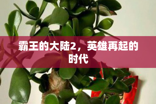 霸王的大陆2,英雄再起的时代 霸王的大陆2,英雄再起的时代