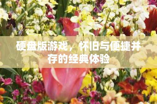 硬盘版游戏，怀旧与便捷并存的经典体验