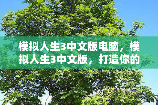 模拟人生3中文版电脑，模拟人生3中文版，打造你的梦想生活