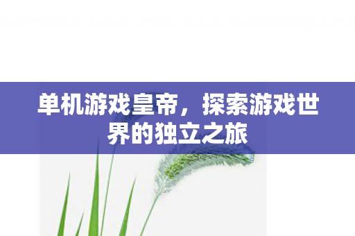 单机游戏皇帝，探索游戏世界的独立之旅