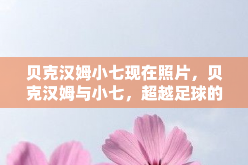 贝克汉姆小七现在照片，贝克汉姆与小七，超越足球的父爱传奇