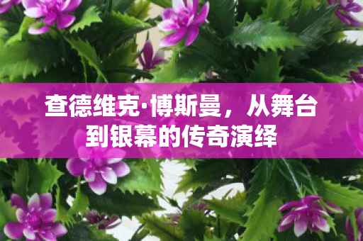 查德维克·博斯曼，从舞台到银幕的传奇演绎