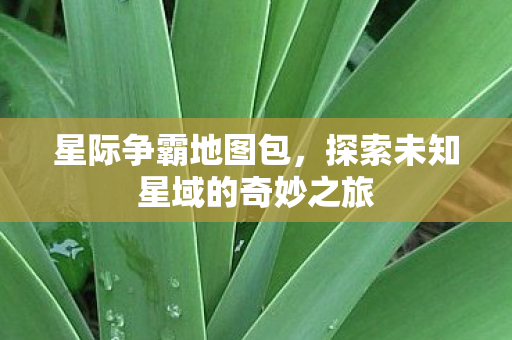 星际争霸地图包，探索未知星域的奇妙之旅