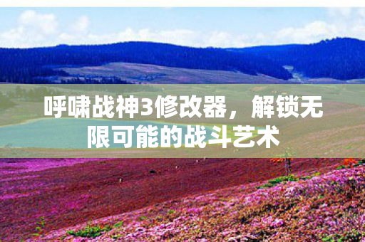 呼啸战神3修改器，解锁无限可能的战斗艺术
