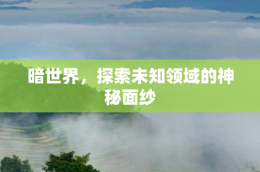 暗世界，探索未知领域的神秘面纱
