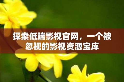 探索低端影视官网，一个被忽视的影视资源宝库