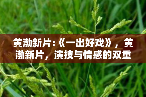 黄渤新片:《一出好戏》，黄渤新片，演技与情感的双重盛宴