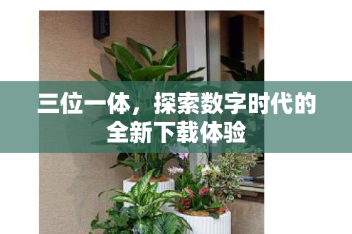 三位一体，探索数字时代的全新下载体验