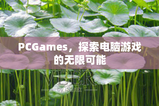 PCGames，探索电脑游戏的无限可能