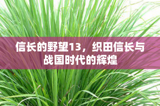 信长的野望13，织田信长与战国时代的辉煌