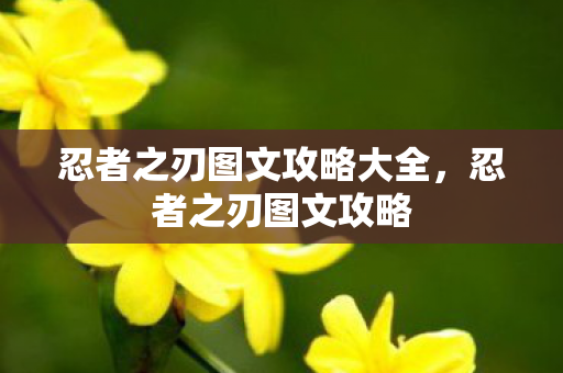 忍者之刃图文攻略大全，忍者之刃图文攻略